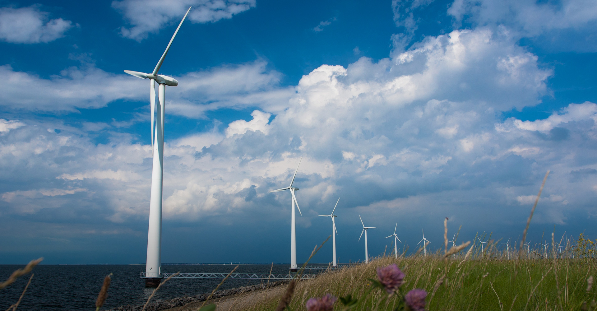 Windsmills on coast (Photo)